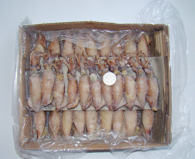 冷凍粗加工水產品-長期供應 冷凍粗加工水產品 熟凍糕魷魚 大量批發(fā)-冷凍粗加工水.