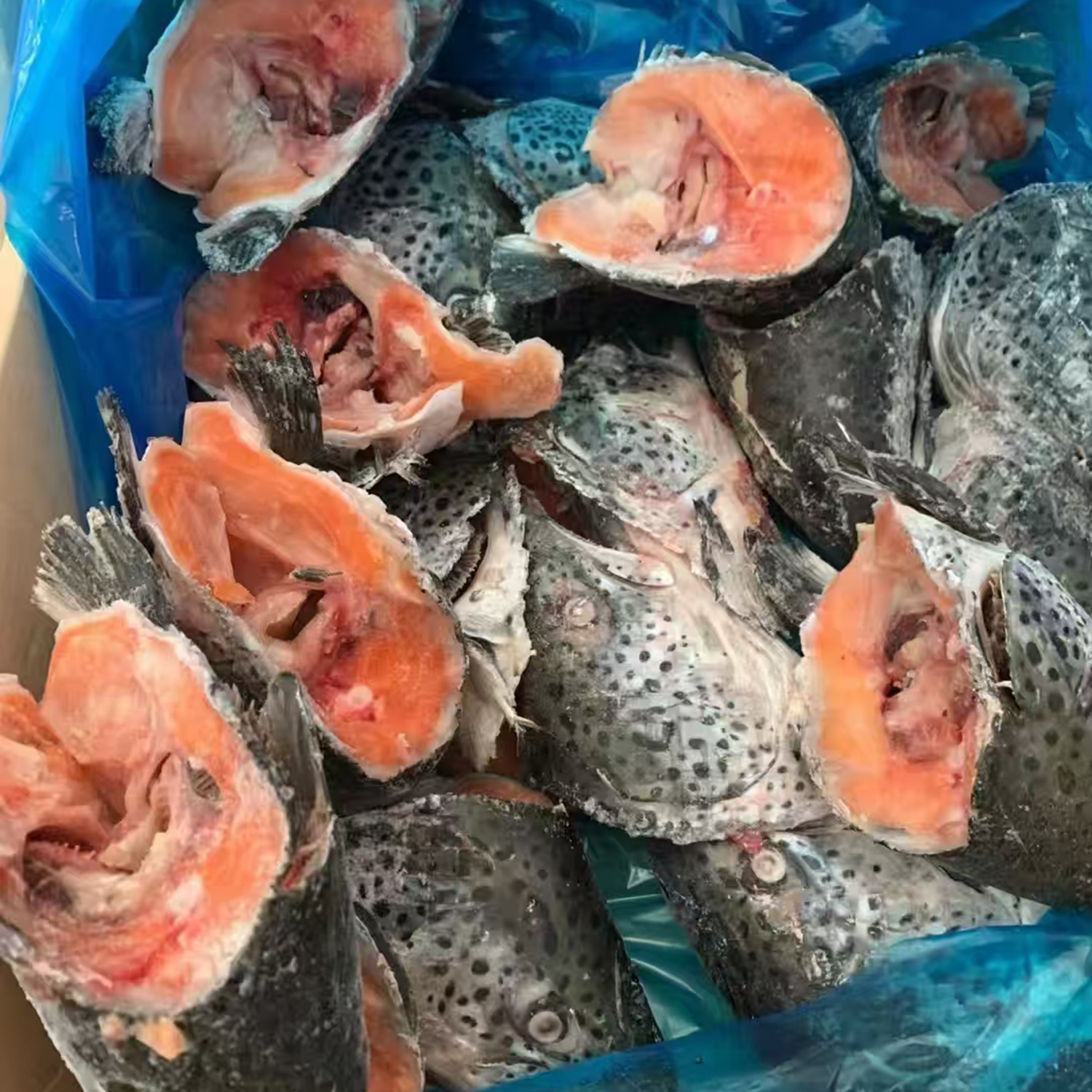 三文魚(yú)魚(yú)頭加工處理冷凍批發(fā)煲湯剁椒魚(yú)頭食材海鮮水產(chǎn)餐飲食材