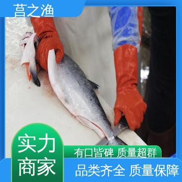 鮭魚(yú)多少錢(qián)一斤市場(chǎng)價(jià)格