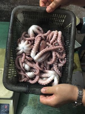 【巨匠日本料理】_巨匠日本料理廠家_巨匠日本料理批發(fā)市場(chǎng) 