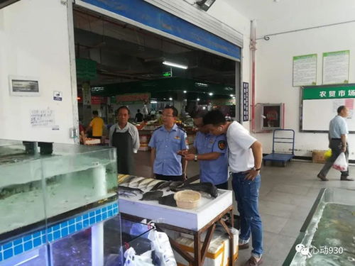 凱里市全面排查冷凍水產(chǎn)品,守住食品安全底線